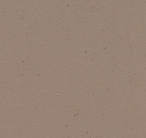 Линолеум Forbo Marmoleum Solid Cocoa 3580-358035 milk chocolate фото 1 | FLOORDEALER